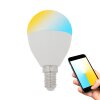 Illuminazione Eglo E14 LED 5 Watt 400 Lumen