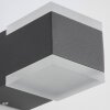 AEG Amity Applique da esterno LED Antracite, 2-Luci