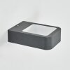 Faren Lampada da parete per esterno, Lampade Up & Down, Applique LED Antracite, 1-Luce