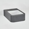 Faren Lampada da parete per esterno, Lampade Up & Down, Applique LED Antracite, 1-Luce