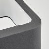 Faren Lampada da parete per esterno, Lampade Up & Down, Applique LED Antracite, 1-Luce