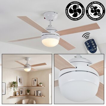 Lenok Lampada con ventilatore LED Bianco, 1-Luce, Telecomando