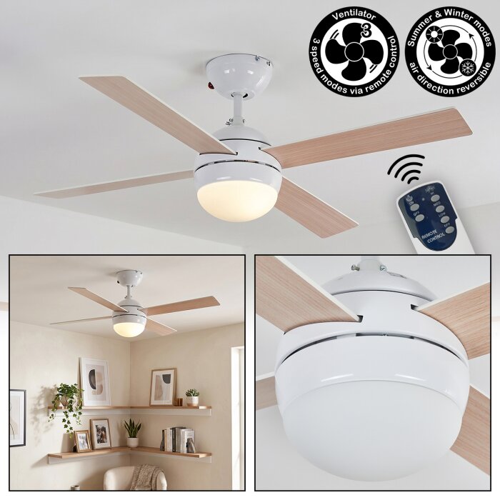 Lenok Lampada con ventilatore LED Bianco, 1-Luce, Telecomando
