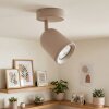 LED faretto da soffitto Lemak moderno, cilindrico orientabile, in Sabbia