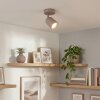 LED faretto da soffitto Lemak moderno, cilindrico orientabile, in Sabbia