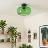Boza plafoniera in vetro verde, lampada da soffitto rotonda Ø 28 cm