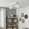 LED Faretto da soffitto Lemak moderno doppia struttura cilindrica orientabile, GU10