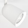 LED Faretto da soffitto Lemak moderno doppia struttura cilindrica orientabile, GU10