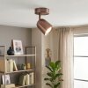 LED Faretto da soffitto Lemak, corpo cilindrico orientabile, per corridoio e ingresso