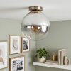 Plafoniera Gastor sfera in vetro fumé E27, lampada da soffitto vintage ottone
