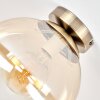 Gastor plafoniera in vetro ambrato, lampada da soffitto sferica E27 Ø 25 cm
