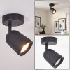 LED plafoniera Lemak con faretto cilindrico orientabile, GU10, schermo nero in metallo