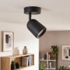 LED plafoniera Lemak con faretto cilindrico orientabile, GU10, schermo nero in metallo