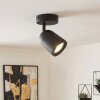 LED plafoniera Lemak con faretto cilindrico orientabile, GU10, schermo nero in metallo