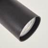Velani plafoniera LED da soffitto a 2 luci con faretti orientabili e anello luminoso