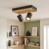 Velani plafoniera LED con faretti orientabili a 2 luci, spot da soffitto