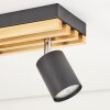 Velani plafoniera LED con faretti orientabili a 2 luci, spot da soffitto
