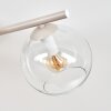Koyoto plafoniera sferica 4 luci E14, lampada da soffitto per soggiorno
