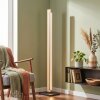 Inzino lampada da terra LED moderna sottile per soggiorno, altezza 123,5 cm