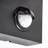 Applique da esterno Kingstown, set di 2 con sensore di movimento, forma rettangolare