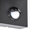 Applique da esterno Kingstown semicircolare, set di 2, sensore di movimento