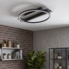 Kordex plafoniera LED moderna ad anello, 24 Watt, 4000 Kelvin, 730 Lumen