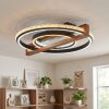 Selani plafoniera LED con telecomando, lampada da soffitto ad anelli incrociati