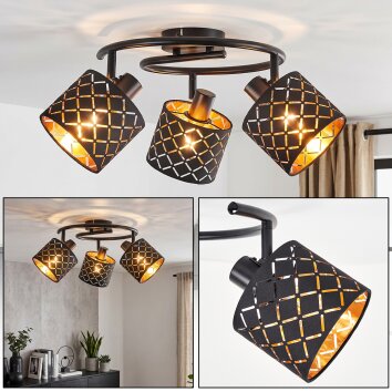 Faretto da soffitto Tallaboa moderno con 3 teste orientabili, griglia oro e nero
