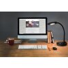 NOWA Carmen lampada da scrivania LED, braccio curvo, testa rotonda, 3,5W 3000K 300 lm