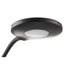 NOWA Carmen lampada da scrivania LED, braccio curvo, testa rotonda, 3,5W 3000K 300 lm