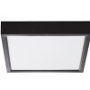 NOWA Puccy plafoniera LED quadrata piatta moderna da soffitto 15W 3000K 1500lm