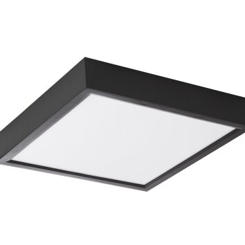 NOWA Puccy plafoniera LED quadrata moderna, lampada da soffitto per soggiorno e cucina
