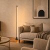 Steinhauer Luzhaz lampada da terra LED moderna con interruttore 24W 2400lm 2700K