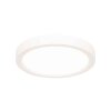 Steinhauer Luminix plafoniera LED soffitto ad anello rotonda moderna ø 20 cm