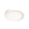 Steinhauer Luminix plafoniera LED soffitto ad anello rotonda moderna ø 20 cm