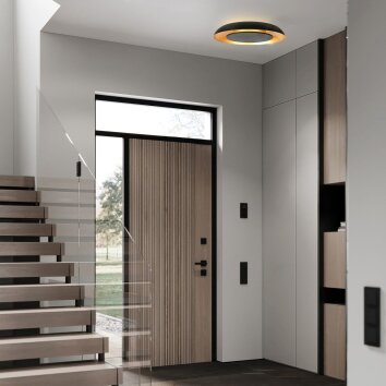 Steinhauer Plafoniera rotonda Golden Veil, LED moderna, dimmerabile, 2700 Kelvin