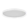 Steinhauer Flady plafoniera LED rotonda da soffitto moderna Ø 50 cm a 2 luci