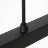 Steinhauer Stang lampada a sospensione moderna 3 luci regolabile, lunghezza 140 cm