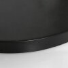 Steinhauer Lampada da terra Sparkled Light, paralume cilindrico dorato regolabile
