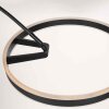 Steinhauer Ringlux lampada da terra ad arco LED regolabile 20W 4000lm 2200-2600-3000K