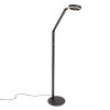 Steinhauer Ringlux lampada da terra LED da lettura orientabile 2700 K 1000 lm 5 W