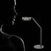 Steinhauer Ringlux lampada da tavolo LED regolabile, lampada da lettura moderna