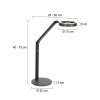 Steinhauer Ringlux lampada da tavolo LED regolabile, lampada da lettura moderna
