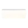 Globo Donte Plafoniera LED lampada da soffitto moderna 12 W 1260 lm 3000-6500 K