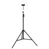 Globo Delgado LED lampada ad anello regolabile con stativo e supporto smartphone da trucco