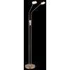 Globo Silvio piantana LED da lettura moderna 2 luci 6,5 W 1400 lm 2700/3350/4000 K