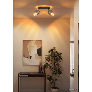 Globo Milley faretto da soffitto spot da soffitto a due luci E27 con interruttore