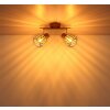 Globo Olin faretto da soffitto rotondo a 2 luci moderno con paralumi gabbia E27