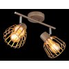 Globo Olin faretto da soffitto rotondo a 2 luci moderno con paralumi gabbia E27