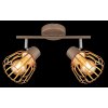 Globo Olin faretto da soffitto rotondo a 2 luci moderno con paralumi gabbia E27